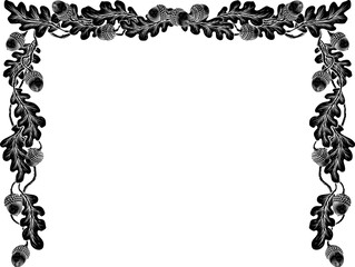 Obraz premium An oak tree leaves and acorns frame or border design element in a vintage woodcut etching illustration style.