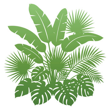 Tropical Leaves Green Foliage Plants.
