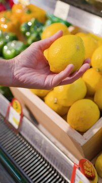 Asian Person Hand Picking Fresh Lemons in Supermarket Grocery Store