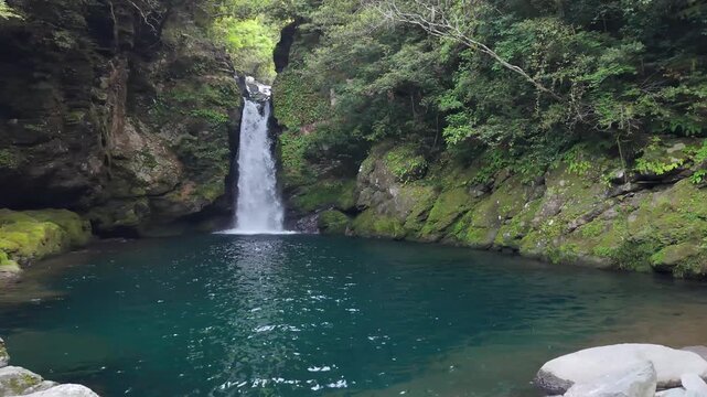 初夏のにこ渕３