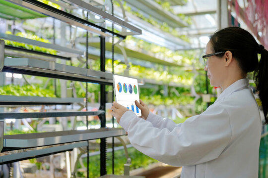 A researcher monitors soilless crops with a tablet in a greenhouse