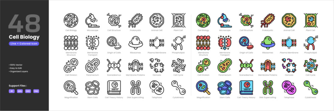 Cell biology icon set collection - colored outline line art style. Containing cell cycle division cytokinesis DNA supercoiling membrane proteins transport osmosis paramecium phospholipid plant cell