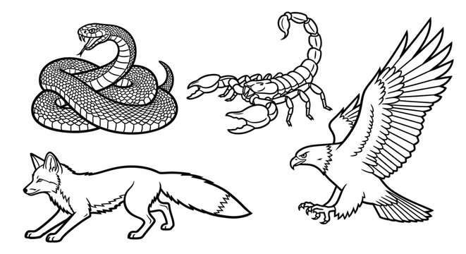 Black and white illustrations of animals snake scorpion eagle and fox