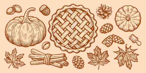 Autumn still life with pumpkin pie and fall foliage illustration © Achinta
