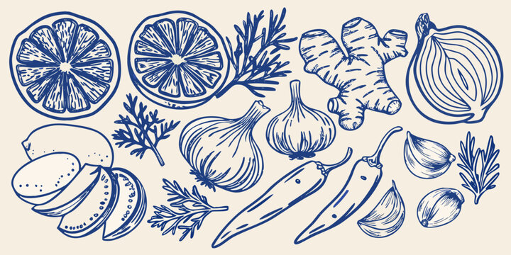culinary ingredients sketch blue line drawing on beige background