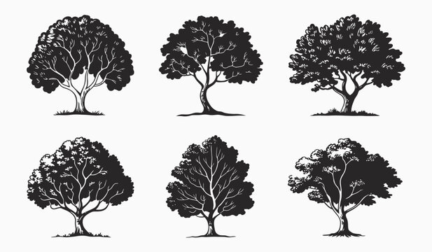 Vintage Artistic Tree Silhouette Collection With Forest Nature Vector Design Elements