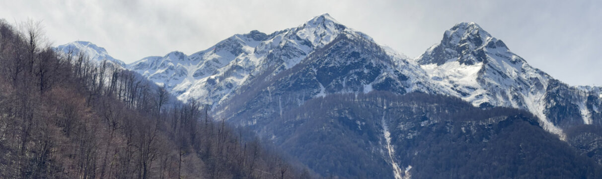 Winter view of snow-covered mountains with leafless trees below