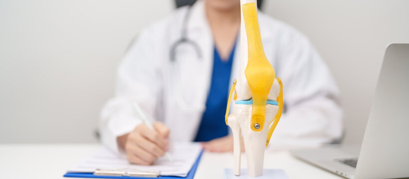 Doctor with Human Knee joint anatomy model. Osteoarthritis, Patellofemoral Pain Syndrome, Patellar Tendinitis, ACL, Anterior Cruciate Ligament, PCL, Posterior, MCL, Medial Collateral, LCL and Lateral