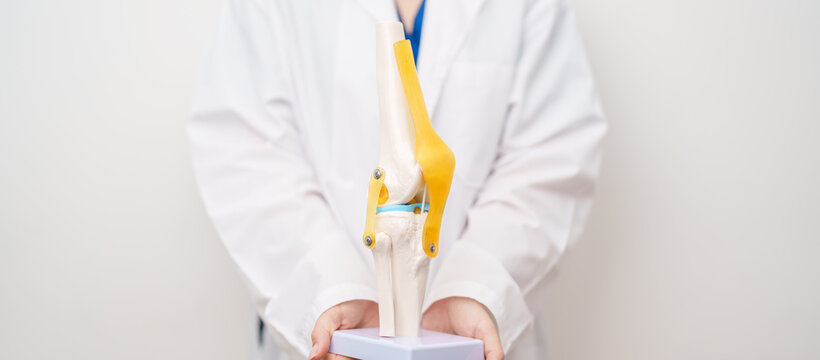 Doctor with Human Knee joint anatomy model. Osteoarthritis, Patellofemoral Pain Syndrome, Patellar Tendinitis, ACL, Anterior Cruciate Ligament, PCL, Posterior, MCL, Medial Collateral, LCL and Lateral