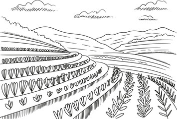 Hand drawn farmland landscape vector illustration, agricultural field countryside sketch isolated rural farming background design © MdMajnur