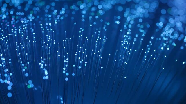 Blue fiber optics glow with tiny lights conveying data transmission and connectivity with a futuristic mood
