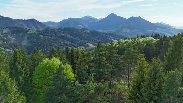 Aerial Hyperlapse Over Lush Green Mountain Forest with Rocky Peak Panorama in Summer