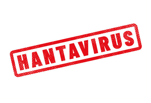 virus HANTAVIRUS ou orthohantavirus