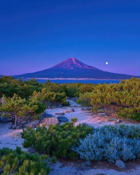Mount Fuji and Moonrise over Lake Ashi at Twilight