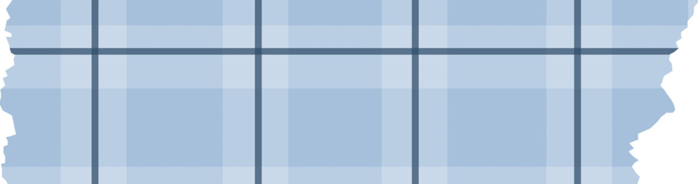 vintage blue plaid tape