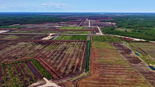 A slow drone pan reveals the immense scale of industrial peat bogs and surrounding forest.