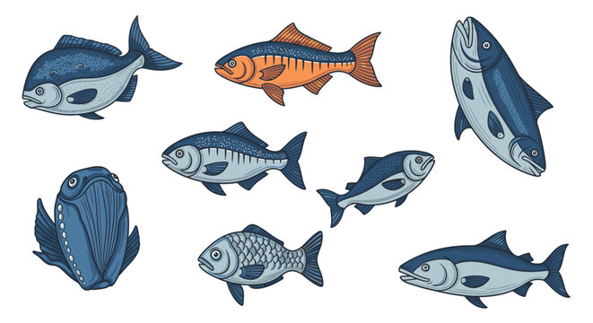 Various colorful illustrations of different fish against a white background