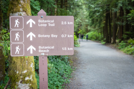 Botanical Loop Trail Sign and Shaded Forest Path With Hikers