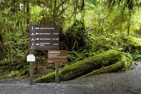 Trail Sign for Juan de Fuca and Camping in Mossy Temperate Rainf