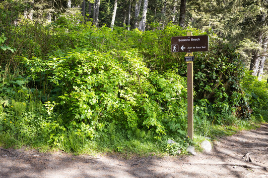 Trail Sign Pointing to Sombrio Beach on Juan de Fuca Trail in Co
