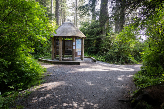 Wooden Information Kiosk at Forest Trailhead Surrounded by Lush