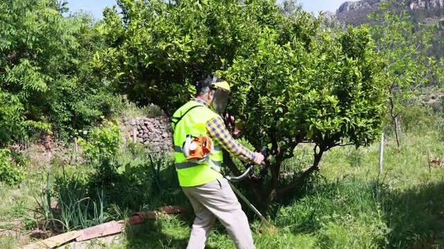 Professional gardener mowing weeds with trimmer