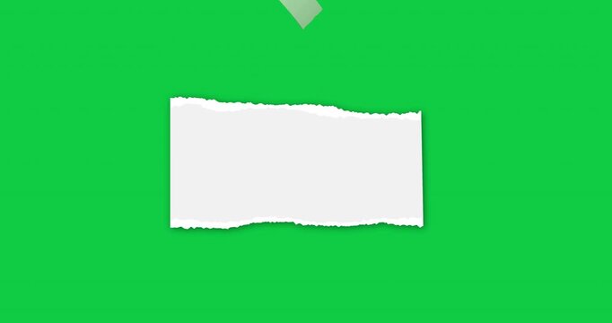 Color sheet of paper, rip pieces with torn adges. Animated paper pieces with sticky tape stuck on green. Blank mockup for text for presentation, advertising, website. 4K video graphic