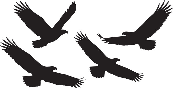Four eagles flying silhouette graphic with black and white apex predator freedom logo bird of prey vector graphic animal silhouette predator