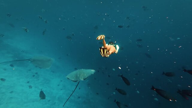 Young woman swimming with two stingrays in the Maldives in crystal clear water.