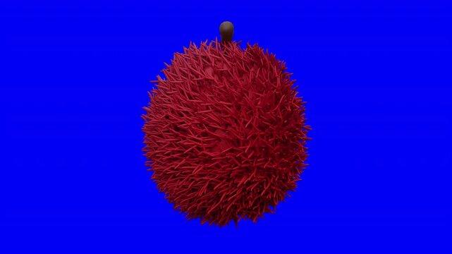 3D Rambutan Fruit Looping Animation Rotating on Blue Screen, High Quality Hairy Red Nephelium Lappaceum Motion Graphic Isolated, CGI Exotic Fruit for Food Video Content and Creative Editing