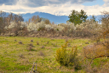 Fototapeta premium Spring landscape in Bansko Bulgaria