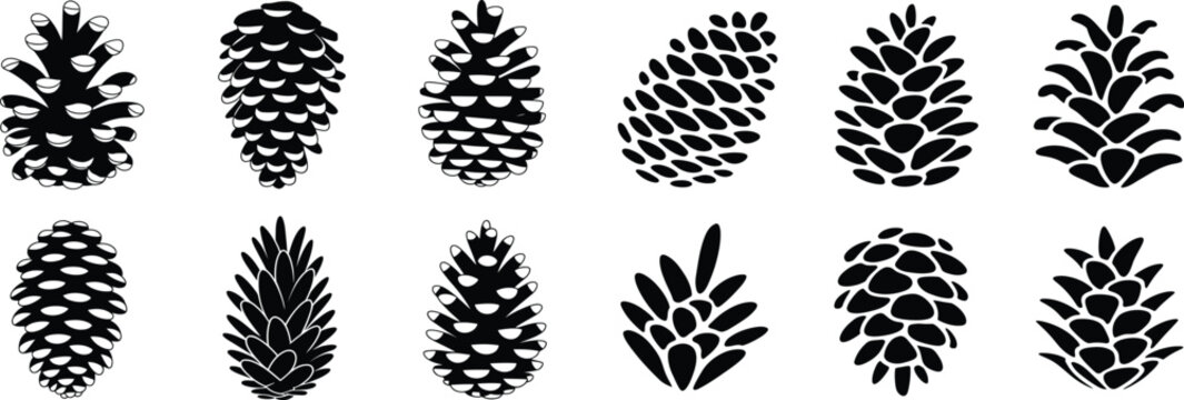 Pinecone silhouette icon set featuring various pine cone shapes from different evergreen trees for winter holiday designs.