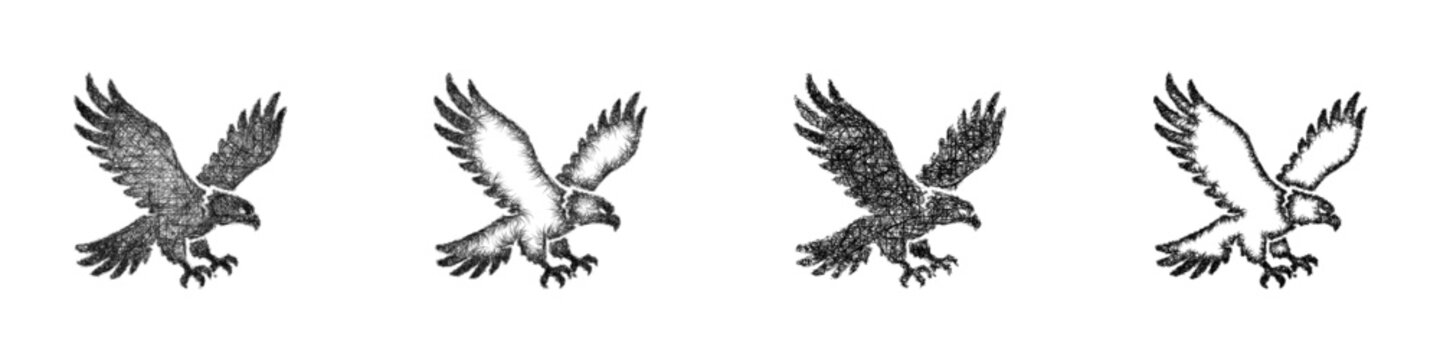 Sketch hawk companion icon design set