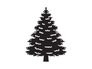Fototapeta premium Norway spruce silhouette with classic evergreen woodland character 