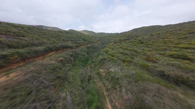 Ravine devoured by flames years ago. Windmills on the ridge