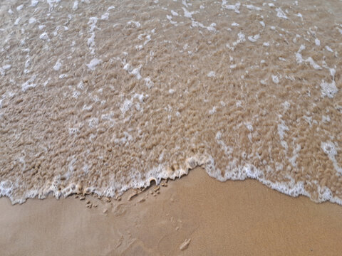 Peaceful Ocean Shoreline with Natural Wave Details