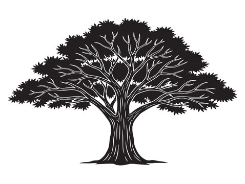 Professional pecan tree silhouette vector icon clean natural design 
