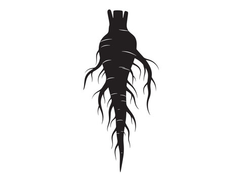 Deep taproot silhouette with strong grounded natural structure 