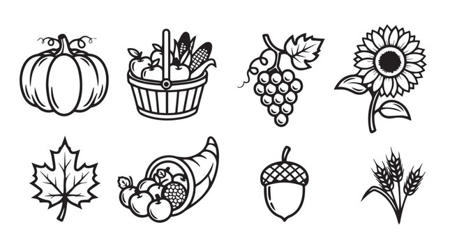 Autumn harvest icons including pumpkin grapes sunflower and cornucopia with fruits