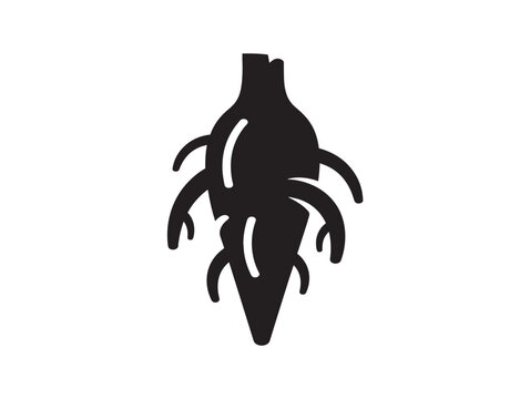 Detailed deep taproot silhouette with botanical realism 