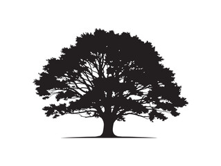 Fototapeta premium 368_Authentic_Nature_Tree_Silhouet_2_20260303_010002.eps
