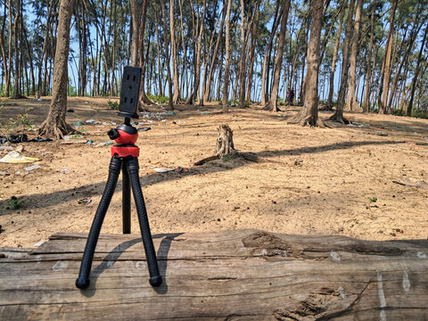 Flexible Mini Tripod on Wooden Log in Coastal Pine Forest
