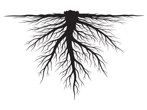 Underground root system silhouette with complex botanical structure 