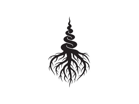 Root spiral silhouette with elegant swirling botanical structure 