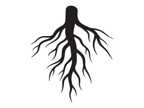 Root vein pattern silhouette with intricate botanical linework 