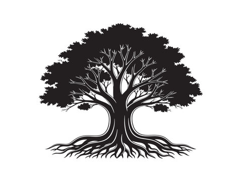 Natural buttress root tree silhouette with detailed woodland texture 