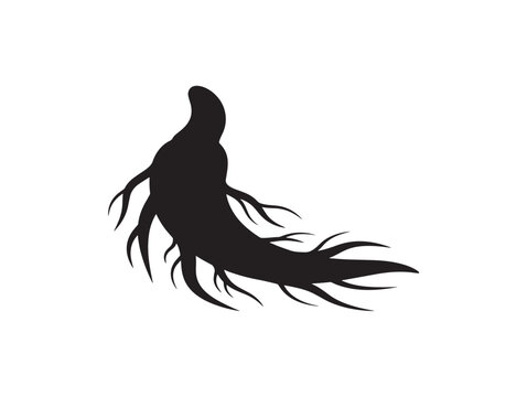 Curved root base silhouette with dynamic organic texture 