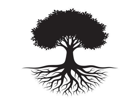 Tree with root frame silhouette and elegant symmetry 