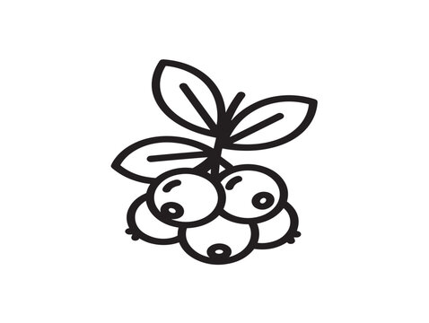 Huckleberry branch with leaves, line art vector illustration