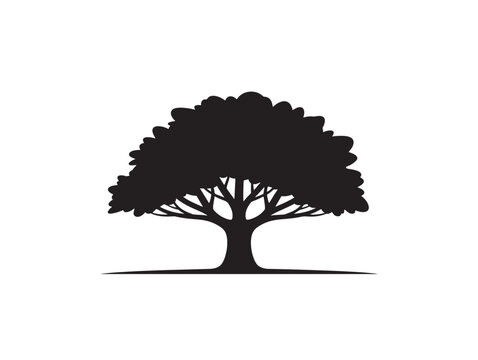 Elegant grounded tree artwork with refined organic balance 